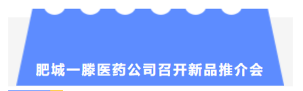 肥城一滕医药公司联合容和堂召开新品推介会