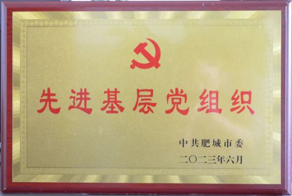 山东一滕集团党委被授予“肥城市先进基层党组织”荣誉称号