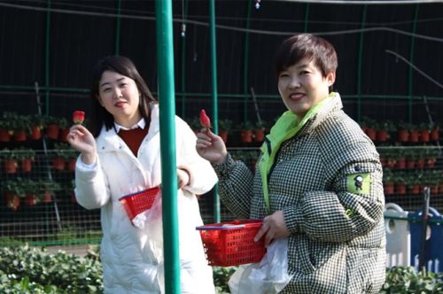 泰安一滕松峪酒店开展“3·8女神节 向莓好出发”主题活动