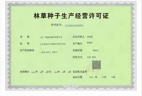 一滕建设|资质为基，公信为证 ——这里有你需要的集团硬实力