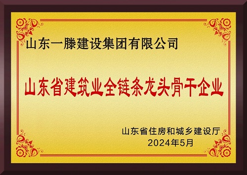 一滕建设| 勋章闪耀——建设集团这些沉甸甸的奖牌，见证着建造者的赤诚