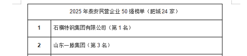 热烈祝贺一滕集团跃居2025年泰安市民营企业50强榜单第3名