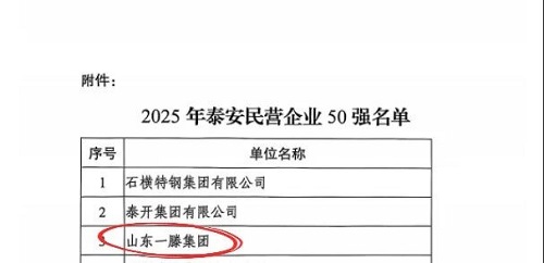 一滕集团荣登2025年泰安民营企业50强榜单第3名