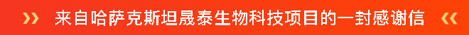 承荣誉之光 启发展新程 | 一滕建设2025全年荣誉回顾